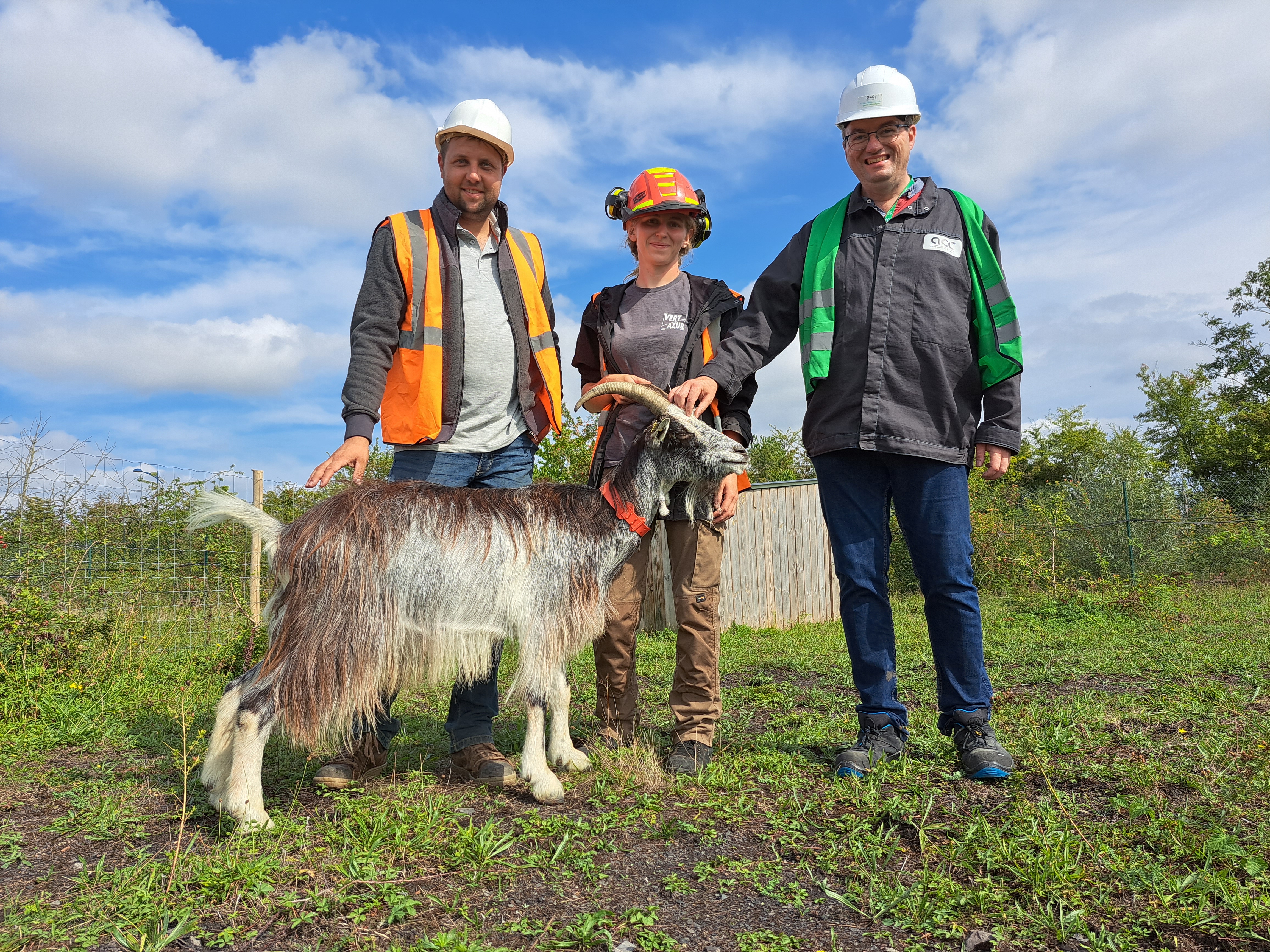 La gestion des espaces verts est voulue &quot;douce&quot;, avec des animaux.