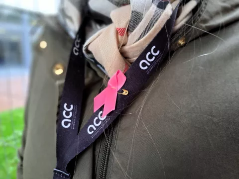 Des rubans roses sont distribués aux salarié(e)s de la Gigafactory cette semaine.