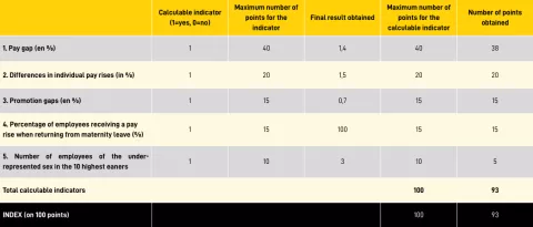 Table detailing the scores of the professional equality index