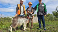 La gestion des espaces verts est voulue "douce", avec des animaux.