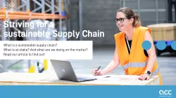 Striving for a Sustainable Supply Chain